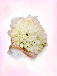 ช่อกุหลาบขาวขนาดใหญ่ 50-100 ดอก